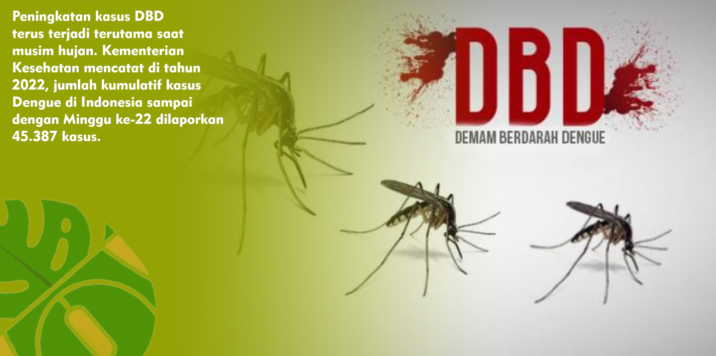 Kasus DBD Meningkat di Indonesia, Kemenkes Galakkan Gerakan 1 Rumah 1 Jumantik Kasus DBD Meningkat di Indonesia, Kemenkes Galakkan Gerakan 1 Rumah 1 Jumantik